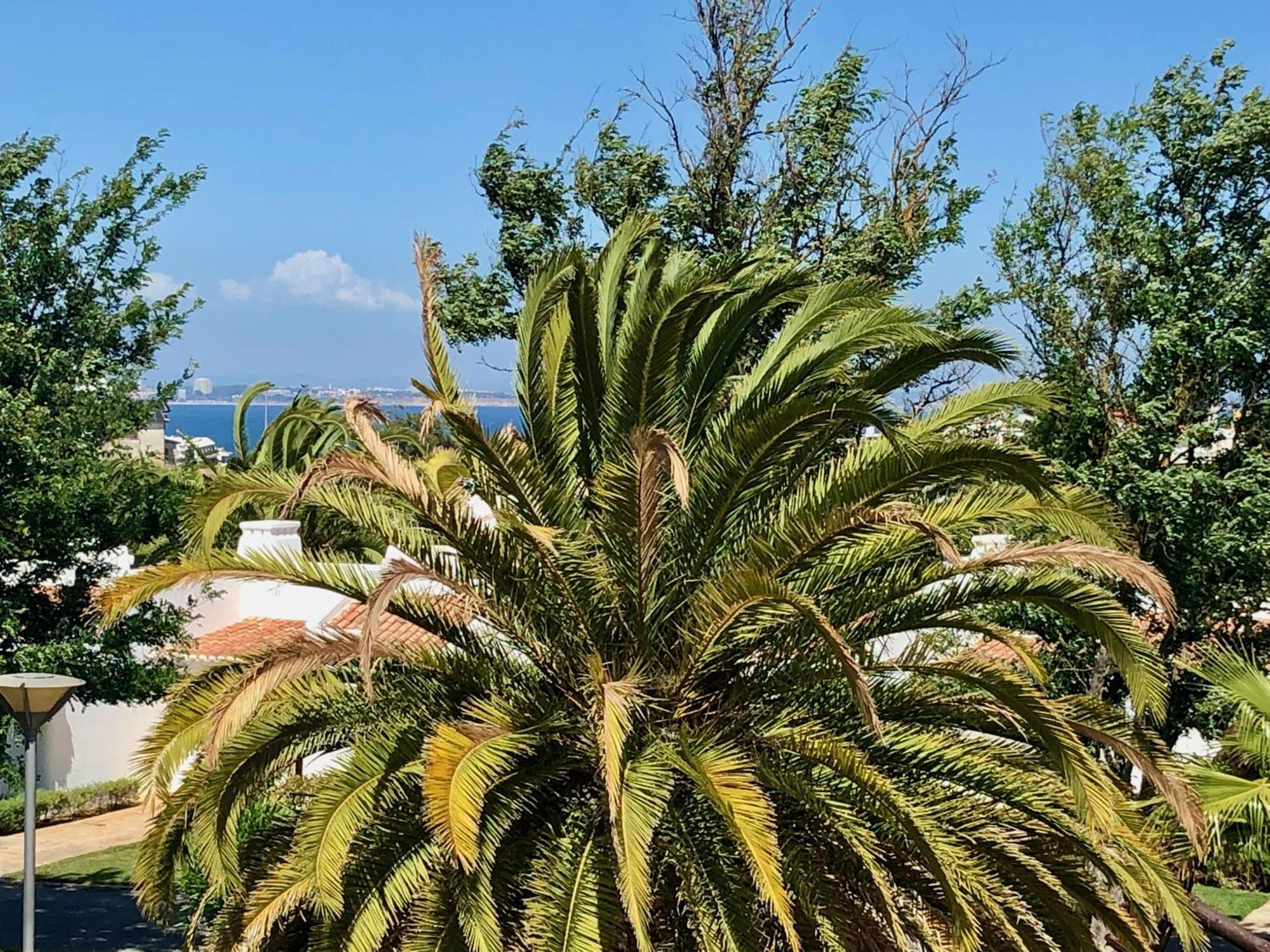 Ancora Boutique Apartments Лагуш Экстерьер фото